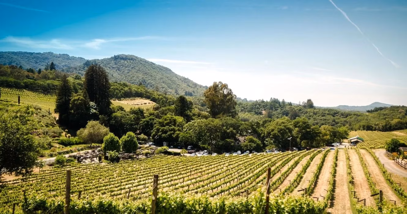 sonoma-county-in-2026-unraveling-the-valley-of-the-moons-many-layers-image-0