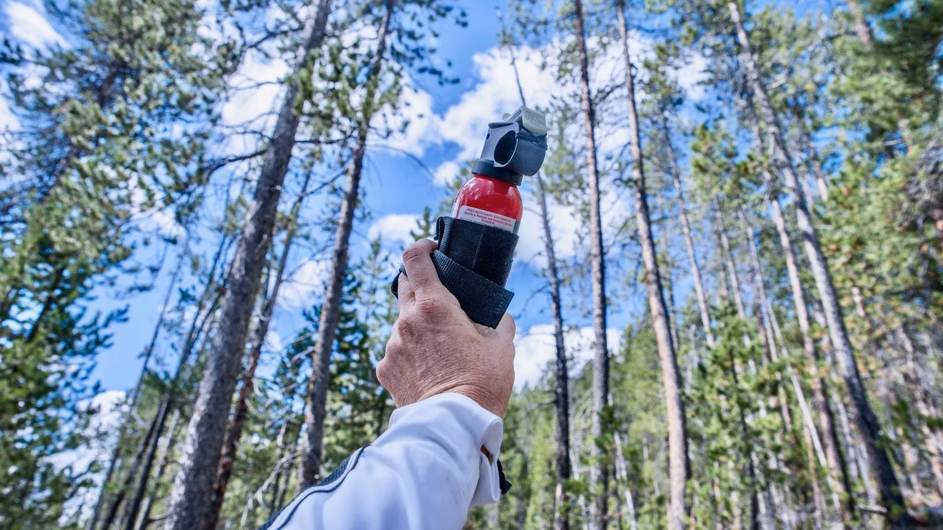 my-ultimate-2026-guide-to-staying-safe-around-bears-in-us-national-parks-image-2